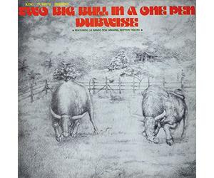 King Tubbys - Two Big Bull in a One Pen (Dubwise Versions) [Vinilo]
