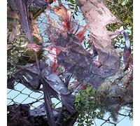 Kingdom - Tears in The Club [VINYL] [Vinilo]