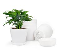 KINGLAKE 8 Piezas de macetero de plástico de 4 Pulgadas, Adecuado para Interior u Oficina, con Bandeja/Bandeja, plástico, Blanco