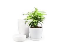 KINGLAKE 8pcs 5.5 "macetas de plástico Blanco macetas de Interior con Paleta/bandejas para casa de Oficina