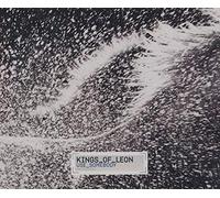 Kings Of Leon - Use Somebody/Basic