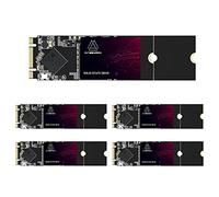 Kingshark Gamer M.2 SSD de 64 GB SATA III 6 Gb/s, M.2 (2280 mm) Unidad de estado sólido interna - Compatible con PC de escritorio portátil (M.2 2280, 64 GB x 5 unidades)