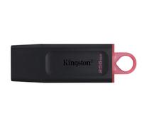 Kingston DataTraveler Exodia DTX/256GB Flash Drive USB 3.2 Gen 1 - with Protecti