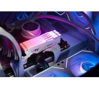 Kingston KF560C36BWEAK2-64 Nuevo