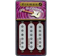 kinman wdstck + Set Pickup Woodstock Plus Set (3), conjunto de micros para guitarra eléctrica