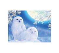 KINZON 30 x 40 cm ,hibou blanc Diamond Painting Broderie Diamant Peinture Canevas 5d Tableau Enfant Adulte Strass Lot Puzzle Dessin Decoration Murale