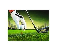 KINZON 30 x 40 cm ,le golf Diamond Painting Broderie Diamant Peinture Canevas 5d Tableau Enfant Adulte Strass Lot Puzzle Dessin Decoration Murale Cha