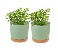 Kioiner 2 Piezas Macetas para Flores, Macetas para Plantas de Interior, Macetero de Plástico con Agujeros de Drenaje y Platillo, 11 cm, para Interior y Oficina (Verde)