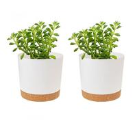 Kioiner 2 Piezas Macetas para Flores, Macetas para Plantas de Interior, Macetero de Plástico con Agujeros de Drenaje y Platillo, 11 cm, para Interior y Oficina (Blanco)