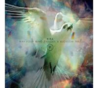 Kira Make Your Mind Explode a Blossom Tree (CD) Album (Importación USA)