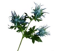 KiraKira Tallo de apio silvestre artificial azul, flor de eringio de plástico realista, decoración de bodas, diseño de interiores y fotografía del hogar, planta sintética apta para alérgicos