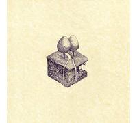 KIRAN LEONARD - WESTERN CULTURE [Vinilo]