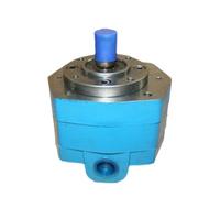 KIRANDY Bomba de Engranajes BB-B4 B6 B10 B16 B20 B25 B32 B40 B50 B63 Bomba de Aceite de Engranaje cicloide (Color : BB-B63)