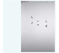 Kirk Barley - Landscapes [VINYL] [Vinilo]