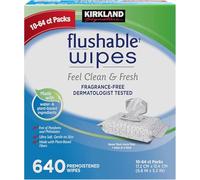 Kirkland Signature Toallitas desechables prehumedecidas, sin fragancia, 640 unidades