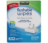 Kirkland Signature Toallitas húmedas desechables 632 unidades rápidas