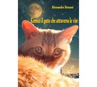 Kirmizi il gatto che attraversa le vite