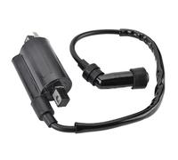 KIRYU Bobina de Encendido para Motocicleta para Suzuki para AN250 para AN400 para Burgman 400 para Skywave 400 para EN125 para EN125-2 / CDI Conjunto De Bobina De Encendido