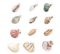Kisangel 12 Piezas de Dijes de Conchas para Joyería Natural, Accesorios de Concha de Material Shell, Resistentes y Bien Elaborados para Collares y Aretes Varios estilos
