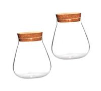 Kisangel 2 Piezas Frascos de Vidrio Transparente con Tapón de Corcho Maceteros Decorativos para Suculentas y Micro Paisajes Tarros Sellados Resistentes y Estables para Almacenamiento y