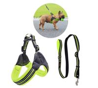 Kisangel Arnés Reflectante Transpirable para Perros de Arnés y Cable de Arrastre Diseño Práctico para Paseos y Ejercicio Verde Fruta