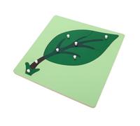 Kisangel Ayudas Didácticas Montessori Materiales Montessori Material Didáctico Montessori Kit Montessori Arbol Montessori Juguetes Inspirados En Montessori Green De Madera