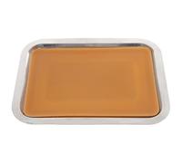 Kisangel Bandeja de Disección para Laboratorio y Aula de Cera de Acero Inoxidable Capa de Cera Adecuado para Posicionar Especímenes en Biología