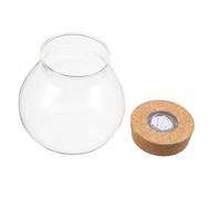 Kisangel Botella de Vidrio Cilíndrica de Borosilicato con Luz LED, Mini Terrario para Micropaisaje DIY, Pecera Decorativa Compacta para Jardín y Hogar, Botella Transparente