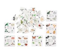 Kisangel Juguete Educativo Rompecabezas Ciclo de Vida para Niños Pequeños, Tamaño Mediano, Material Madera Natural, Desarrollo Cognitivo y Motricidad Fina, Adecuado para Aula y Juego