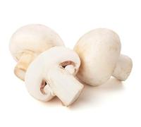 kiskick Semillas de champiñones de botón Blanco, 200 Piezas Semillas de champiñones de botón Blanco Patio de jardín Planta Vegetal Deliciosa Semillas de Hongos Blancos