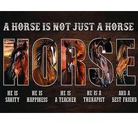 kisoyo Cartel de metal vintage con texto en inglés "A Horse Is Not Just A Horse He Is Sanity He Is Happiness He Is A Teacher He Is A Teacher He Is A Therapist And A Best Friend", decoración de pared