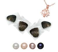 kiss me Collar de perlas de ostra natural con collar de bricolaje, ostras de agua dulce con perla en el interior, collar con medallón de perlas de amor y deseo, regalo de 45,7 cm para mamá y amante, H