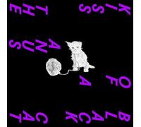 Kiss the Anus of a Black - An Interlude to the.. [Vinilo]