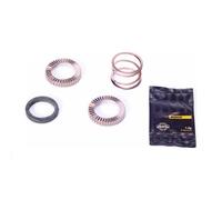 Kit 2 Crichetes De Repuesto 24T Con Resorte Y Grasa Para Cuerpos ID360 MTB V2375