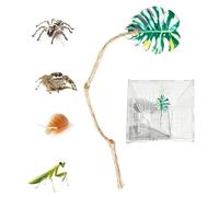 Kit Accesorios para arañas saltarinas Hojas Simuladas Con Cuerda Algodonera