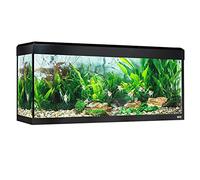 Kit Acuario con iluminación LED Bluetooth Fluval Roma, 240 l, Negro