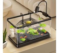 Kit Acuario para Tortugas con Filtro Avanzado,Hábitat De Reptiles Tanque De Tortugas Tortuga Tanque Acuario(Small)