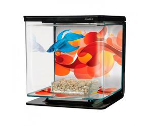 Kit aquário para peixe betta - Marina Sun swirl