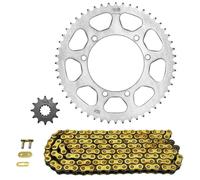 Afam 08001614 Kit cadena de moto (acero) para RIEJU MRT-Pro/MRT 50 (Competizione) 2009 - 2016