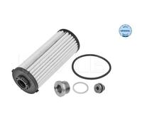 Kit Cambio De Aceite Del Cambio Automático Meyle 1001350116SK para Audi Seat VW