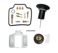 Kit Carburador para Foresight 250 para FES250 1997 1998 1999 2000 2001 2002 2003 2004-2005 Kit Reparación Carburador Piezas Diafragma Flotador Carburetor(All)