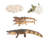 Kit Ciclo Vida Animal Modelo Educativo