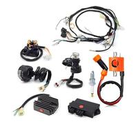 Kit Completo De Cableado para Yam&AHA Warrior YFM 350 X: Bobina Encendido, Interruptor Manillar Izquierdo, Relé CDI, Rectificador