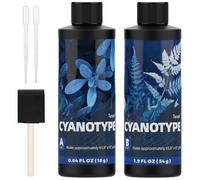 Kit completo de cianotipo, sensibilizador de cianotipo para impresión solar, kit de impresión solar solar para proyectos de proceso fotográfico en tela y papel, sensibilizador de impresiones azules
