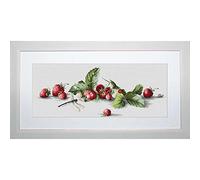 Kit Contado Lucas LB2254 Cross Stitch Pattern Fresas Algunos 18,5 x 49,5 cm