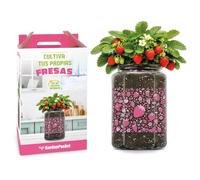 Kit Cultivo Fresas Interior - Maceta con Semillas, Sustrato, Fertilizante y Pulverizador - Regalo Original para Casa y Cocina - Garden Pocket