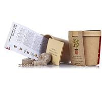 KIT CULTIVO PIMIENTOS DE LA VERA "LA CHINATA"