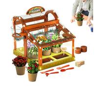 Kit Cultivo Plantas Flores Para Niño Con Luces De Cultivo