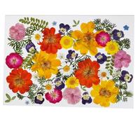 Kit de 36 flores secas prensadas, incluye cosmos de azufre, pensamiento y hojas verdes, flores secas naturales reales para decoración de pasteles, joyería de resina, arte de uñas, moldes epoxi