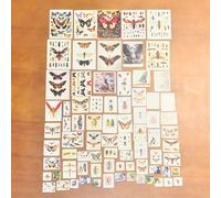 Kit de 3D de tarjetas de insectos | Mini STEM Craft para adolescentes y | científico, coleccionable educativo para amantes de la